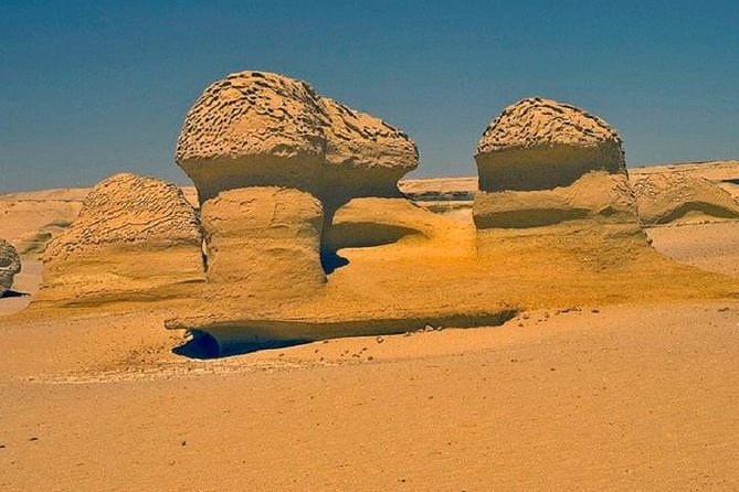 Private Tour to Fayoum Oasis, Valley of the Whales & Wadi Al Rian From Cairo. - Additional Tour Details