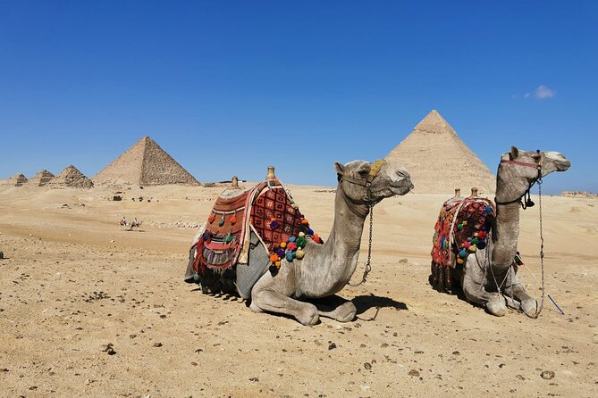 Private Tour to Giza Pyramids, Sphinx With Camel Ride and Lunch - Pricing and Payment Options