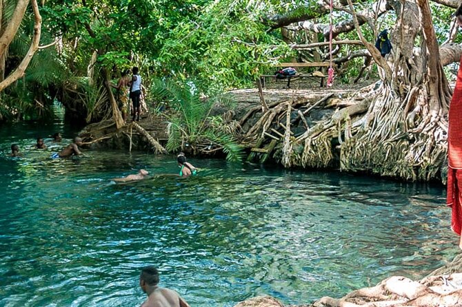 Private Tour to Materuni Waterfalls, Coffee Tour, Kikuletwa Hot Springs & Maasai - Traveler Experiences