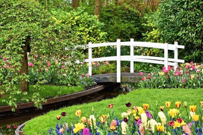 Private Tour to Tulips, Keukenhof, Windmills & Cheese Farm - Booking Information