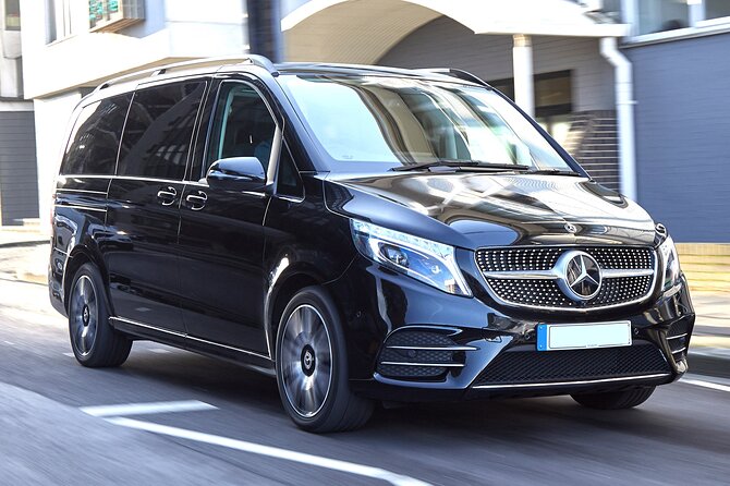 Private Transfer: Disneyland Park or Hotel to Paris by Luxury Van - Group Accommodations