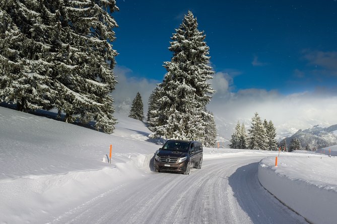 Private Transfer From Bad-Ragaz to Zurich Airport - Transportation Options and Customization