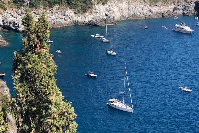 Private Transfer Naples to Sorrento Stop to Pompeii and Pizza - Pricing Information