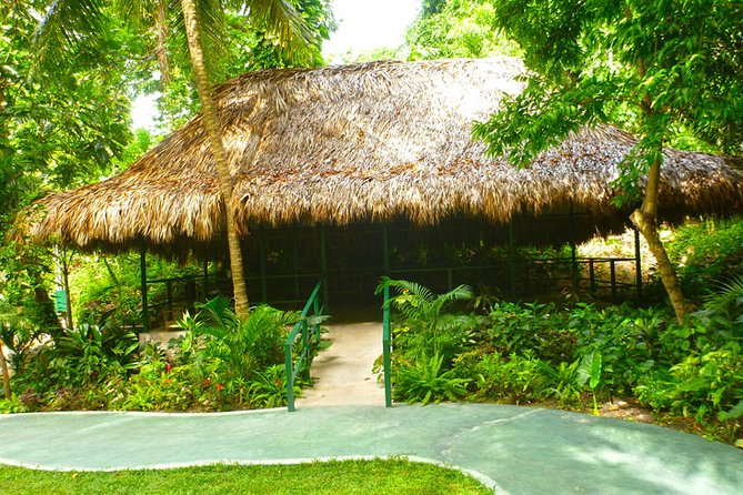 Private Transfer to Konoko Falls Botanical Gardens - Highlights of the Experience
