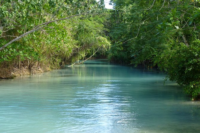 Private Transfer to White River Tubing Ocho Rios - Highlights of the Experience
