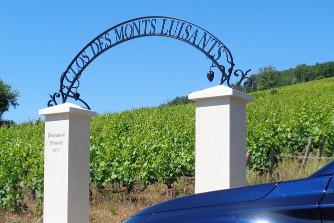 Private Trip and Wine Tasting in Burgundy" - Accessibility Notes