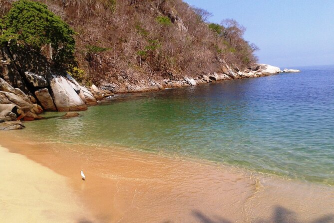 Private Trip: Snorkeling at Los Arcos & Colomitos Beach - Exploring Los Arcos National Marine Park