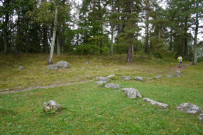 Private Viking Tour by a Lake + Swedish Nature Forest Walk, 90MIN - The Sum Up