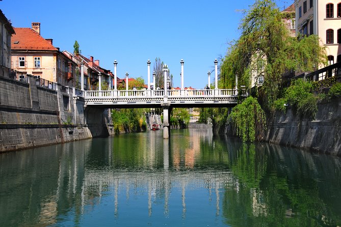 Private Walking Tour of Ljubljana Old Town - Highlights of the Tour