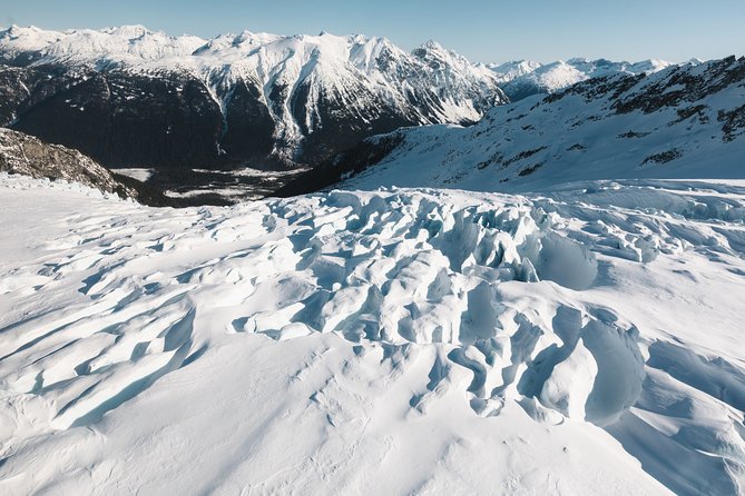 Private Whistler Helicopter Tour + Mountain Landing - Customer Experiences and Reviews