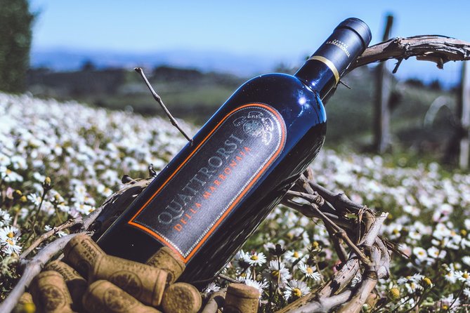 Private Wine and Extra Virgin Olive Oil Tasting - Minimum Age and Recommendations