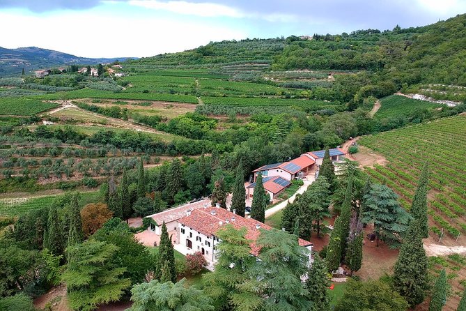 Private Wine Tasting in Mezzane Di Sotto - Wine Tasting and Sampling