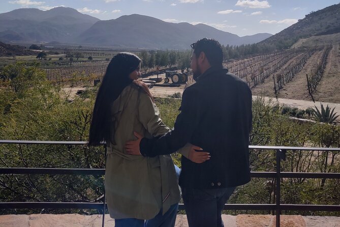 Private Wine Tasting Tour in Valle De Guadalupe - Exploring Valle De Guadalupe