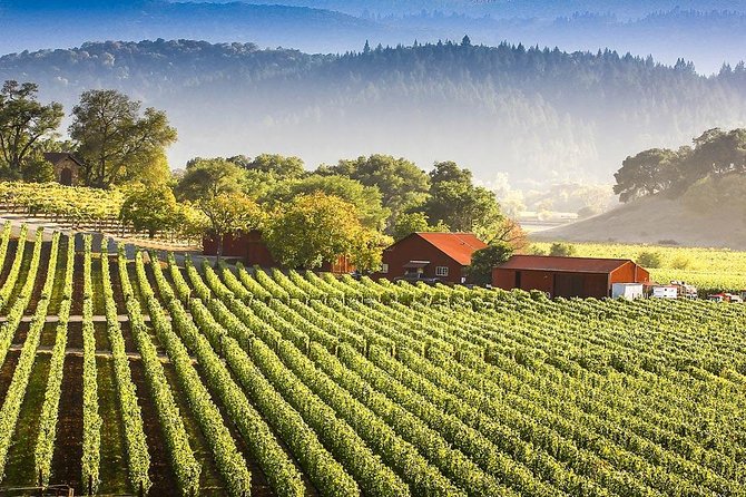 PRIVATE Wine Tasting Tour to the Bekaa Valey Fabulous Wineries - Booking Information