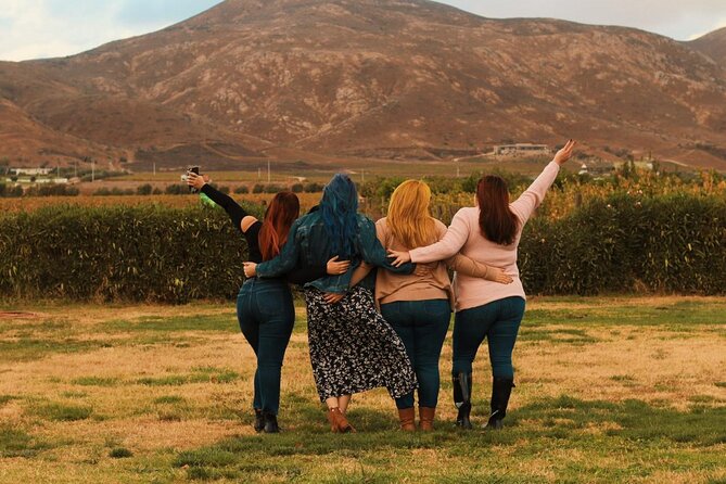 Private Wine Tour at Valle De Guadalupe (A Wine Tasting Included). - Culinary Delights Included