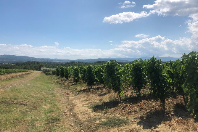 Private Wine Tour of Chianti - Transportation and Logistics