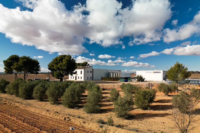 Private Wine Tour to the Costa Blanca Wineries - Since You Asked
