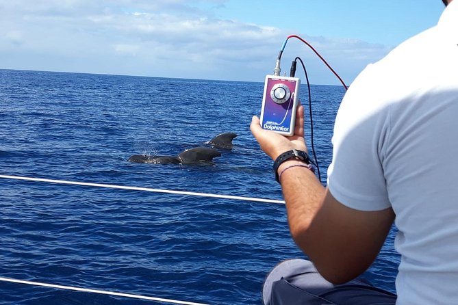 Private Yacht Tour With Whale and Dolphin Watching 42 Foot Boat - Marine Life Experiences