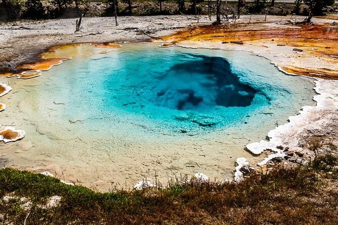 Private Yellowstone Day Tour: Up to 6 (9 a Van a Day) - Customer Reviews