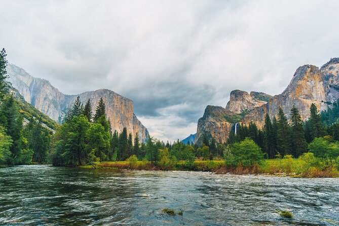 Private Yosemite National Park Day Trip From San Francisco - Customer Reviews