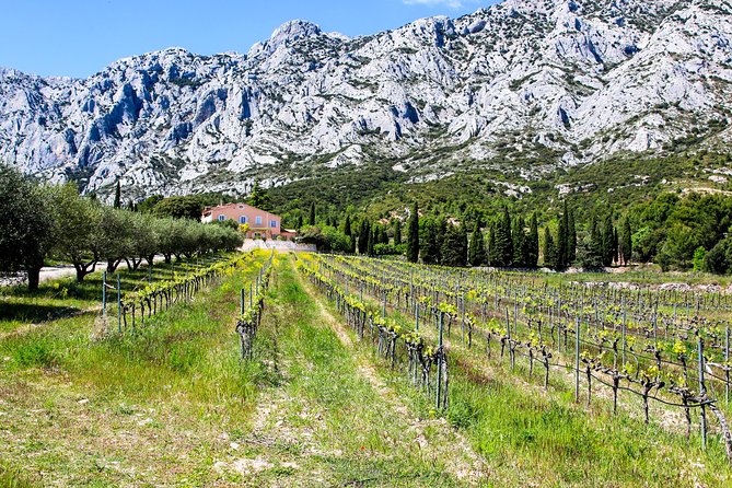 Provence - Mont Sainte Victoire in Search of Cézanne Private Wine Tour - Traditional Provençale Lunch