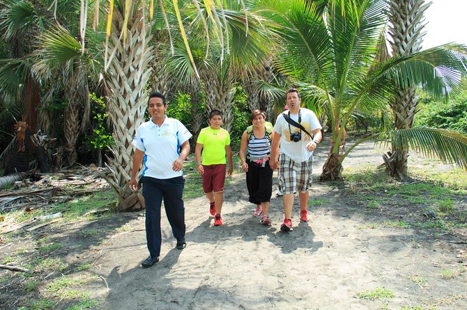 Puerto Angel Exotic Animal Wildlife Experience - Exploring Ventanilla Lagoon