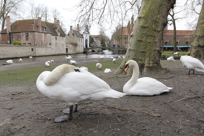 QuizQuest: A Trivia Tour of Bruges (Private Tour) - Customer Reviews
