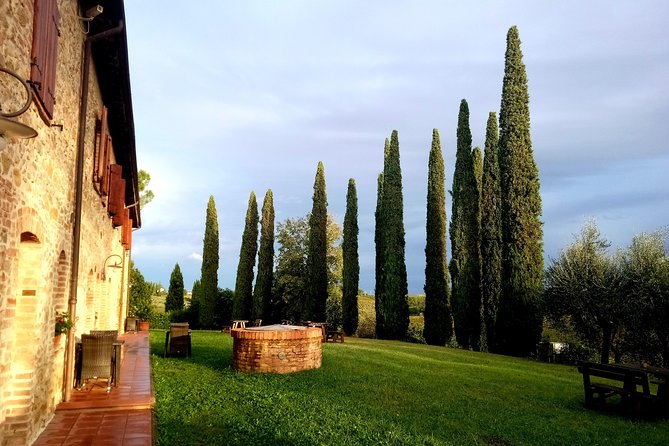 Ramble Through the Rolling Hills of Chianti With Lunch & Wine Tastings - Tuscan Lunch at a Local Winery