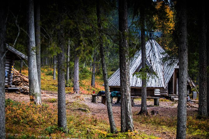 Ranua Wildlife Park Visit Plus Lunch, Ice Floating, and Sauna  - Rovaniemi - Ranua Arctic Wildlife Park Visit