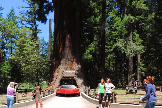 Redwood National Park Tour 2-Day Private Tour Package Hotel Included - Traveler Reviews
