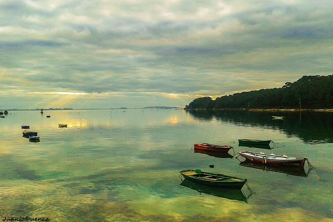 Rías Baixas Private Tour With Wine Tasing, Food, Mussels Boat and Pickup - Customer Support and Resources