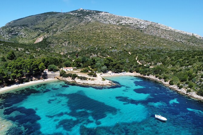 Rib Boat Tour to the Dolphin Area up to 6 People - Wine and Cheese Tasting Highlights