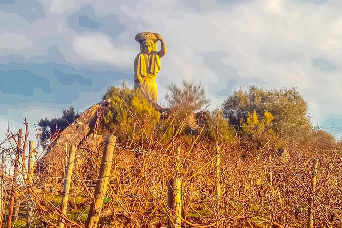 Ribeira Sacra, Heroic Wines Private Tour From Santiago - The Sum Up