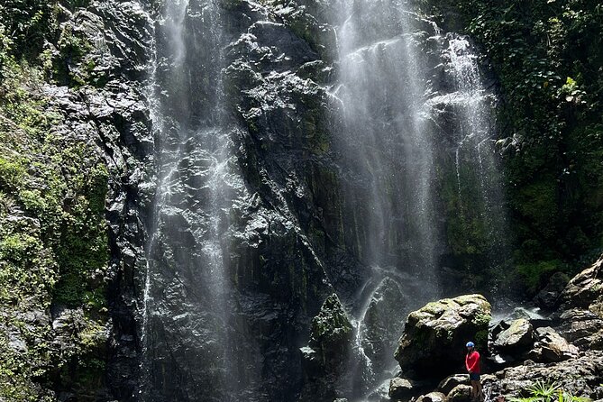 River Trek to 130-Foot Waterfall in Bayamon - Group Size and Booking