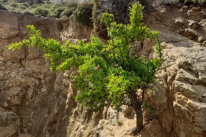 Riverbank Adventure in Naxos (Kinidaros - Eggares) - Tour Highlights