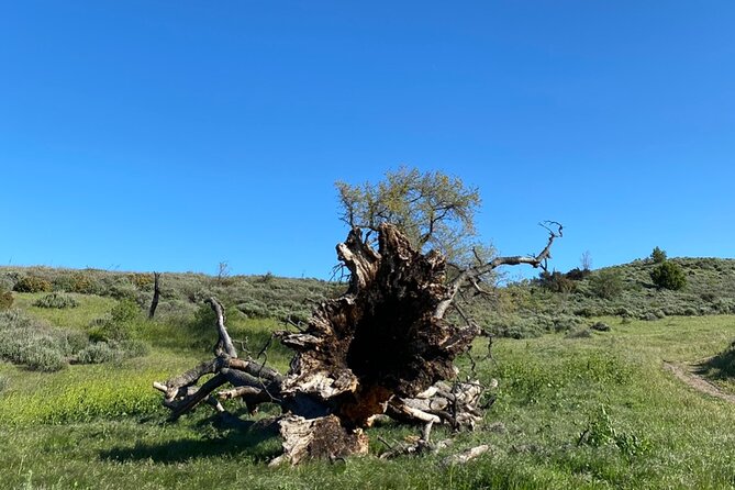 Rocky Peak Electric Mountain Biking Tour (Beginner) - Recommended Gear