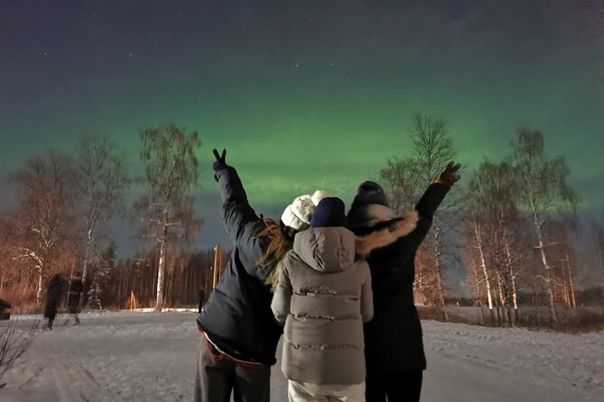 Rovaniemi: Aurora Hunting & Photography Tour - Since You Asked