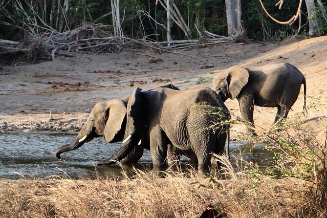 Saadani National Park Day Tour - Frequently Asked Questions