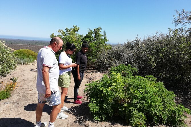 Safari Cycle and !Khwa Ttu San Heritage Experience - Why Choose This Experience