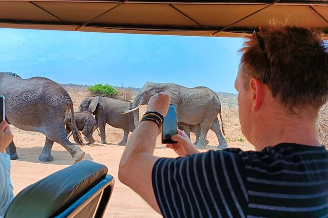 Safari in Victoria Falls and Zambezi National Park - Experiences in Victoria Falls