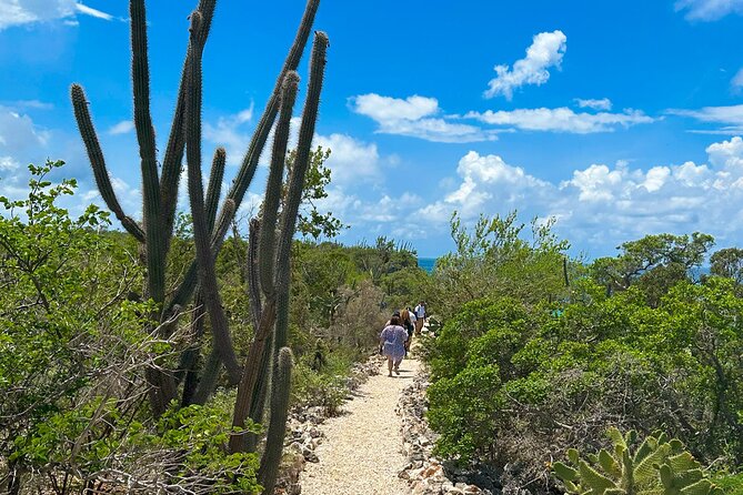 Safari Tour – Paradisiacal Excursion to Bahia De Las Águilas - Flexible Booking and Cancellation Options