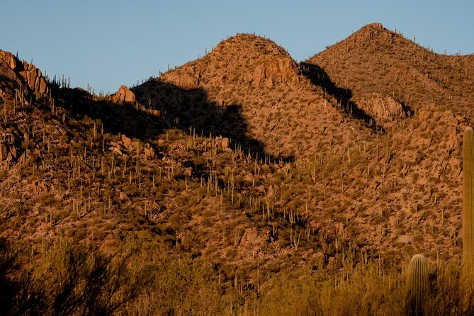 Saguaro NP and Mt. Lemmon Tour Review - User Experiences and Feedback
