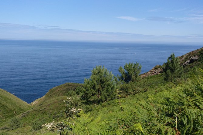 Saint James Way Trekking Tour With Gastronomic Society Dinner - Frequently Asked Questions