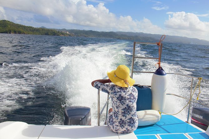 Samana Tours (With Whales) Full Day Excursion! All Inclusive Tour! - Samana Safari and Cayo Levantado