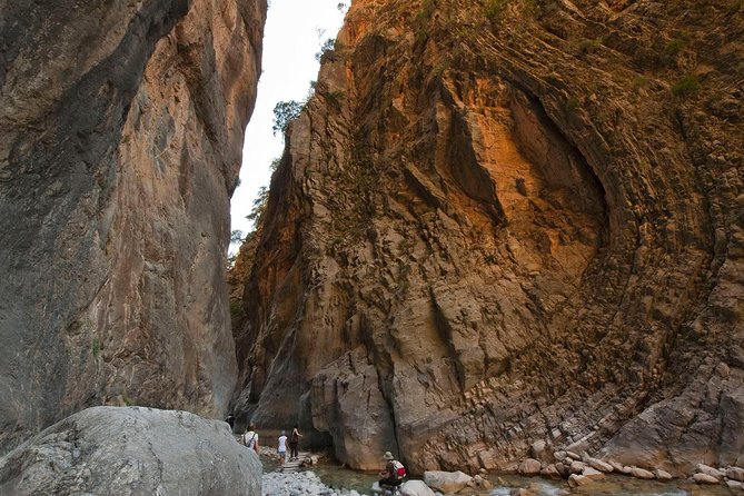 Samaria Gorge Transfer From Chania (Price per Group of 6) - Assistance and Customer Support