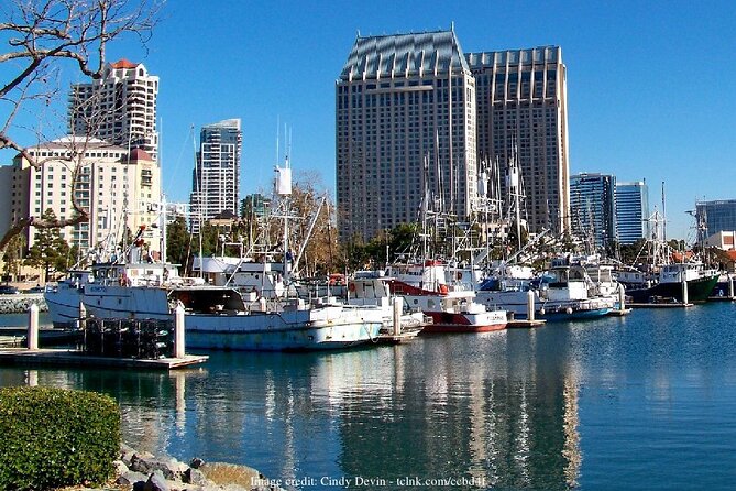 San Diego in a Day: Private Tour Review - Trip Planning Considerations