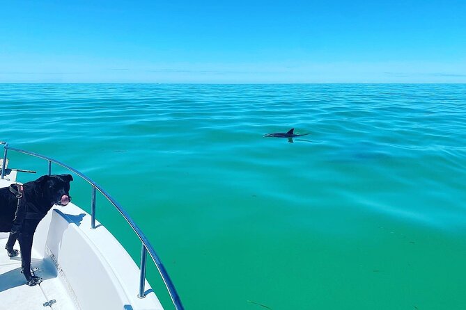 Sandbar Snorkel in the Backcountry of Key West - Customer Reviews