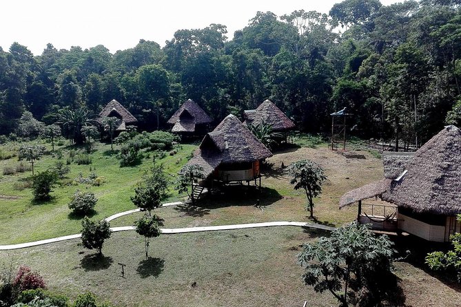 Sandoval Lake + Chuncho Macaw Collpa - 5 Days / 4 Nights - Booking and Cancellation