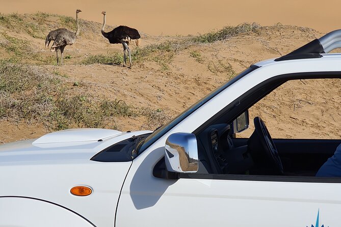 Sandwich Harbour 4x4 Tour - Sandwich Harbour Experience Recommendations