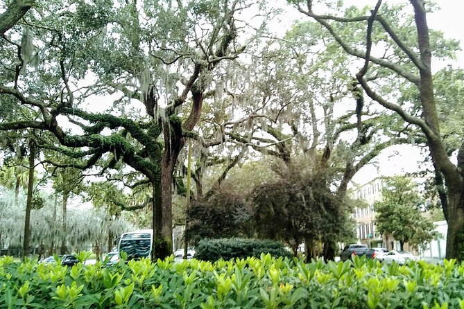 Savannah Irish History Walking Tour Review - Final Verdict On This Stay